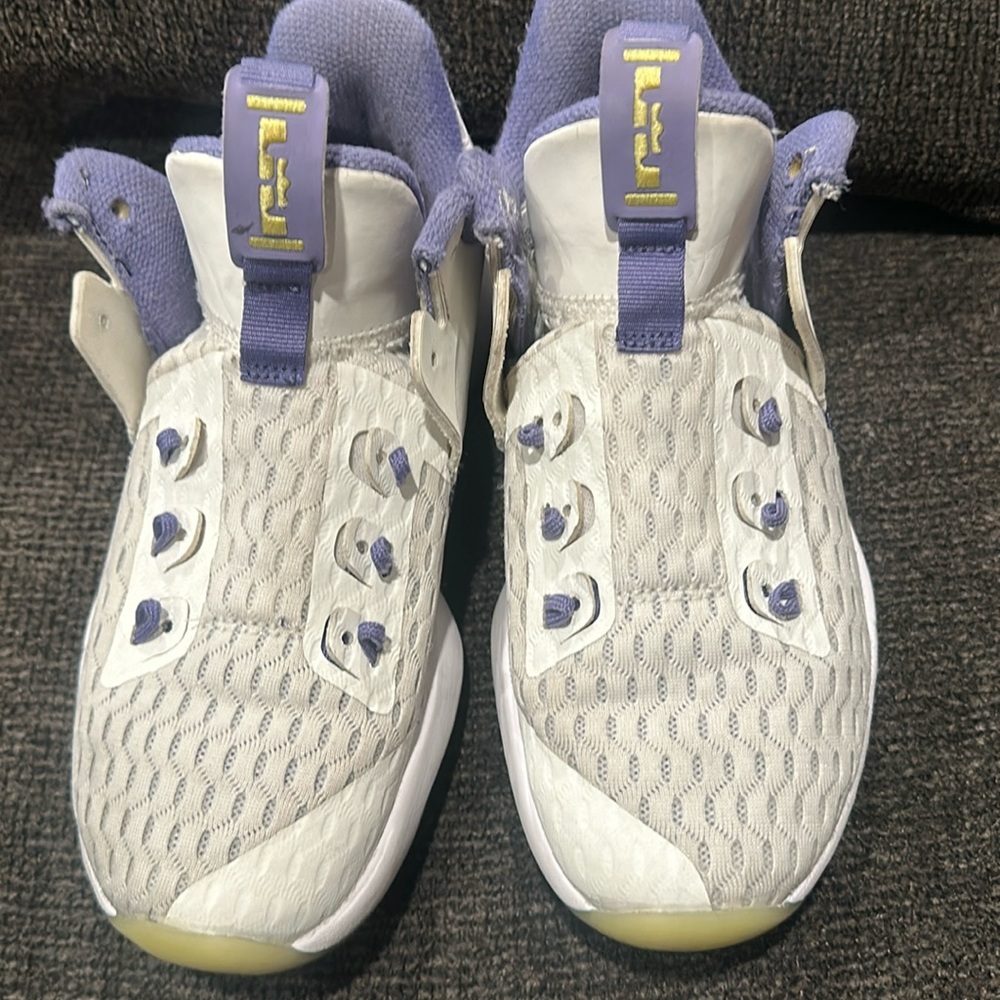 Lebron James basketball shoes